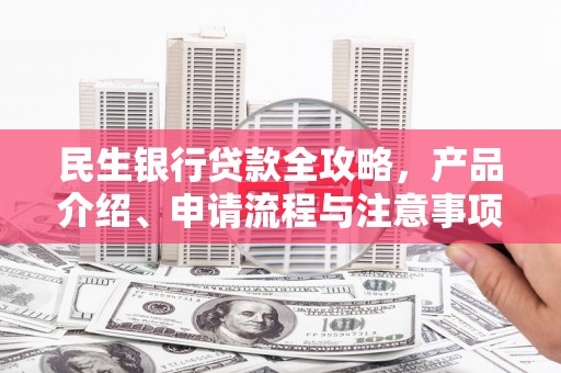 褒忠民生银行贷款全攻略，产品介绍、申请流程与注意事项
